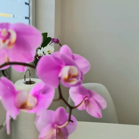 Naturzeit Am Landeckberg