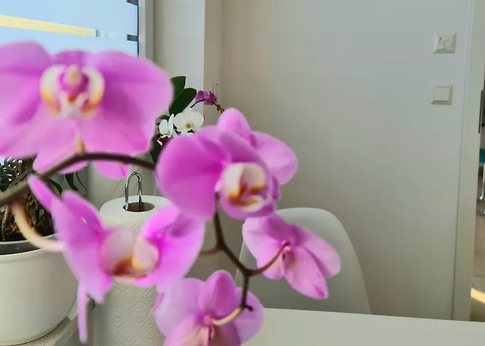 Naturzeit Am Landeckberg