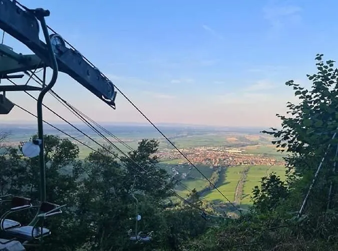 Naturzeit Am Landeckberg * Klingenmünster