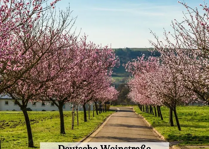 Naturzeit Am Landeckberg Klingenmünster